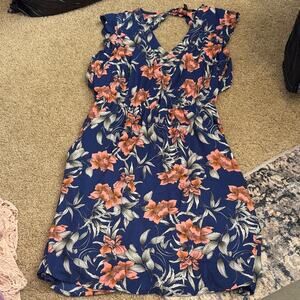 41 Hawthorn Floral Backless Dress in Blue and Pink
